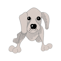 Basset Hound Animals