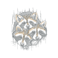 Big Bear Animals Big Bear Animals