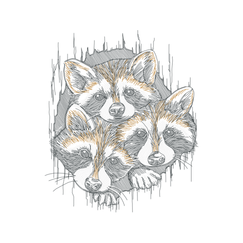 Big Bear Animals Big Bear Animals