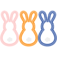 Black Tailed Jackrabbit Animals