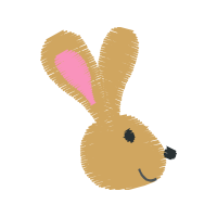 Black Tailed Jackrabbit Animals