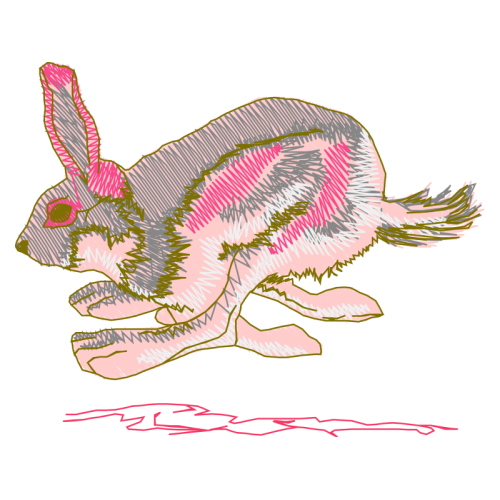 Black Tailed Jackrabbit Animals Black Tailed Jackrabbit Animals