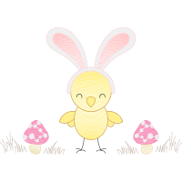 Black Tailed Jackrabbit Animals