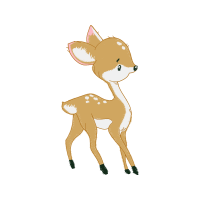 Cartoon Animals Cartoon Animals