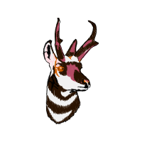 Cartoon Animals Cartoon Animals