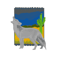 Coyote Animals