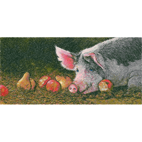 Coyote Animals Coyote Animals