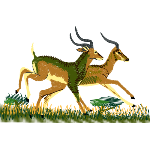 Deer Animals Deer Animals