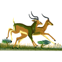 Deer Animals Deer Animals