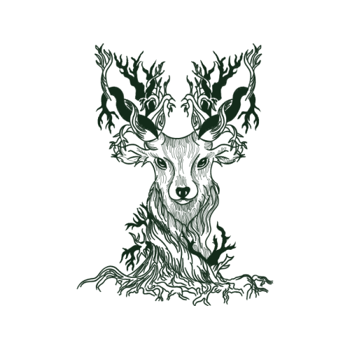 Deer Animals Deer Animals