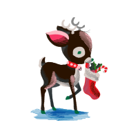 Deer Animals Deer Animals