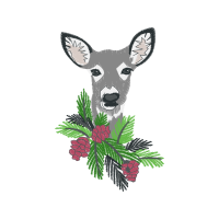 Deer Animals Deer Animals