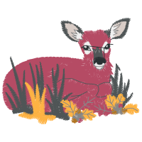 Deer Animals Deer Animals