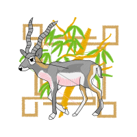 Deer Animals