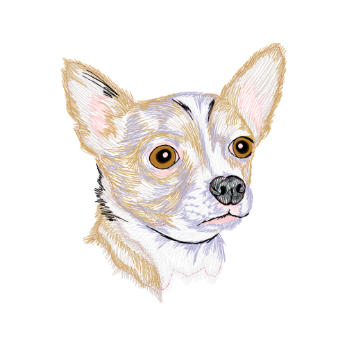 Devon Rex Animals Devon Rex Animals