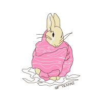 Domestic Rabbit Animals