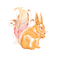 Domestic Rabbit Animals