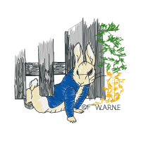 Domestic Rabbit Animals