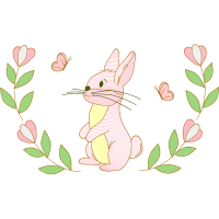 Domestic Rabbit Animals