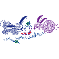 Domestic Rabbit Animals Domestic Rabbit Animals