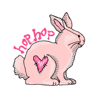 Domestic Rabbit Animals