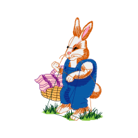 Domestic Rabbit Animals Domestic Rabbit Animals