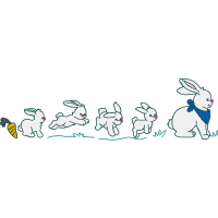 Domestic Rabbit Animals