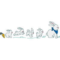 Domestic Rabbit Animals Domestic Rabbit Animals