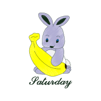 Domestic Rabbit Animals Domestic Rabbit Animals