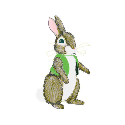 Domestic Rabbit Animals Domestic Rabbit Animals