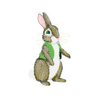 Domestic Rabbit Animals