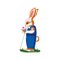 Domestic Rabbit Animals