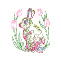 Domestic Rabbit Animals