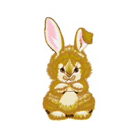 Domestic Rabbit Animals Domestic Rabbit Animals