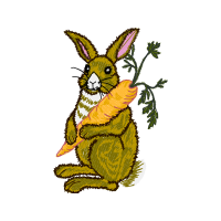 Domestic Rabbit Animals