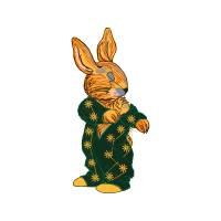 Domestic Rabbit Animals