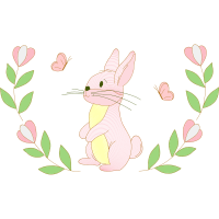 Domestic Rabbit Animals