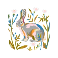 Domestic Rabbit Animals