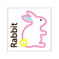 Domestic Rabbit Animals