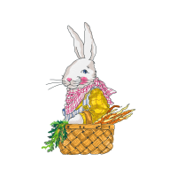 Domestic Rabbit Animals