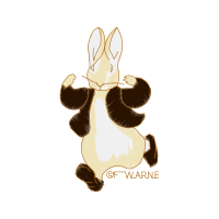 Domestic Rabbit Animals