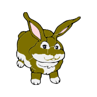 Domestic Rabbit Animals