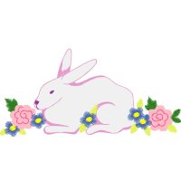 Domestic Rabbit Animals