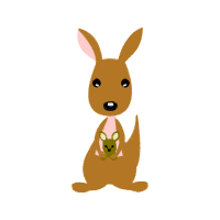 Domestic Rabbit Animals