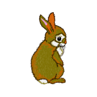 Domestic Rabbit Animals