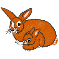 Domestic Rabbit Animals