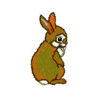 Domestic Rabbit Animals