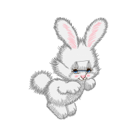 Domestic Rabbit Animals