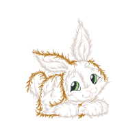 Domestic Rabbit Animals