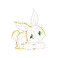 Domestic Rabbit Animals